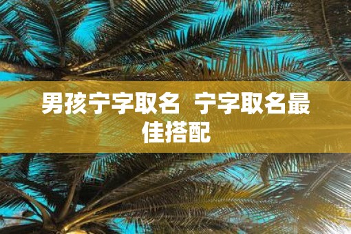 男孩宁字取名  宁字取名最佳搭配