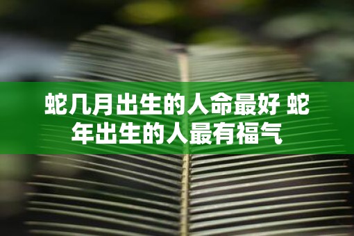 蛇几月出生的人命最好 蛇年出生的人最有福气