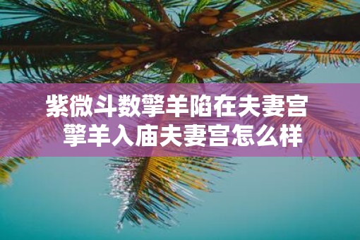 紫微斗数擎羊陷在夫妻宫  擎羊入庙夫妻宫怎么样