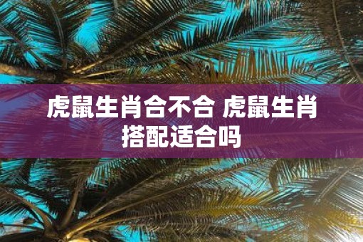 虎鼠生肖合不合 虎鼠生肖搭配适合吗