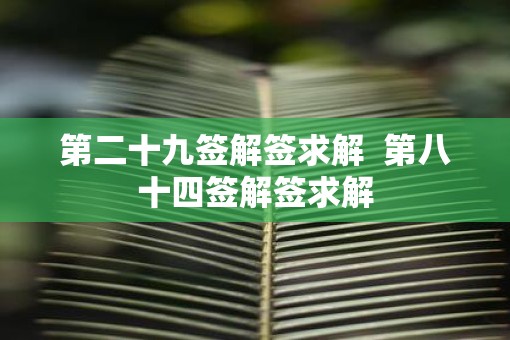 第二十九签解签求解  第八十四签解签求解
