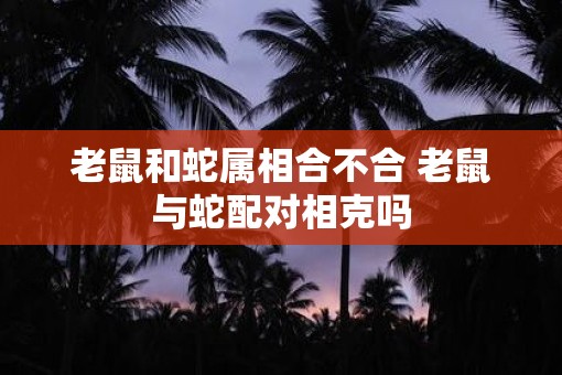 老鼠和蛇属相合不合 老鼠与蛇配对相克吗