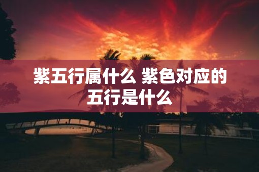 紫五行属什么 紫色对应的五行是什么