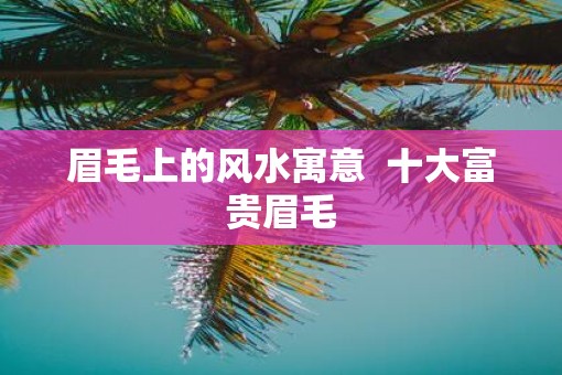 眉毛上的风水寓意  十大富贵眉毛