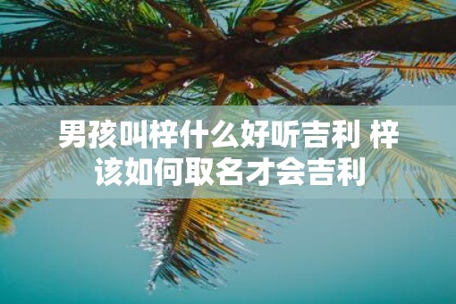 男孩叫梓什么好听吉利 梓该如何取名才会吉利