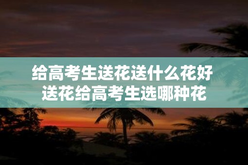给高考生送花送什么花好 送花给高考生选哪种花