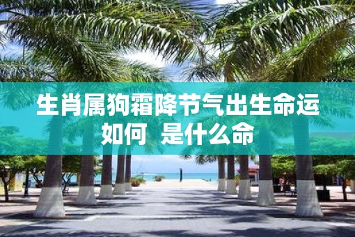 生肖属狗霜降节气出生命运如何  是什么命