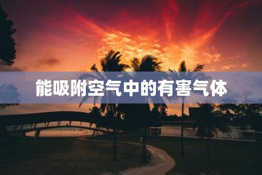 能吸附空气中的有害气体