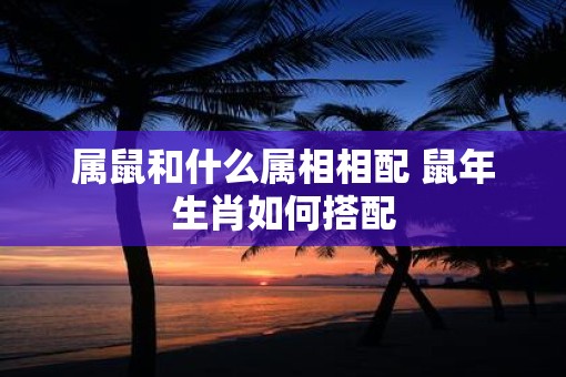 属鼠和什么属相相配 鼠年生肖如何搭配