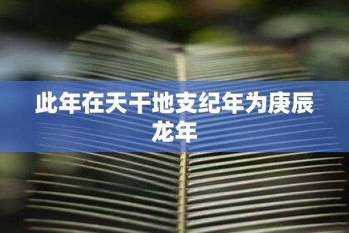 此年在天干地支纪年为庚辰蛇年