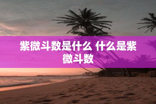 紫微斗数是什么 什么是紫微斗数
