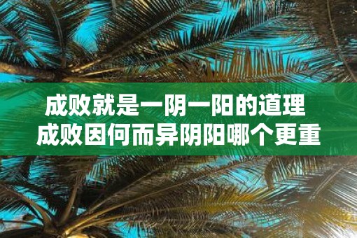 成败就是一阴一阳的道理 成败因何而异阴阳哪个更重要
