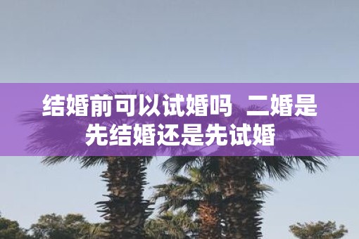 结婚前可以试婚吗  二婚是先结婚还是先试婚
