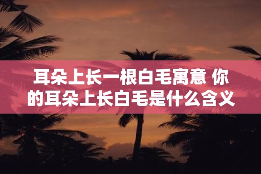 耳朵上长一根白毛寓意 你的耳朵上长白毛是什么含义