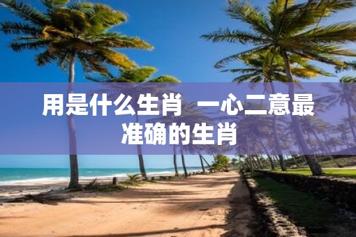 用是什么生肖  一心二意最准确的生肖