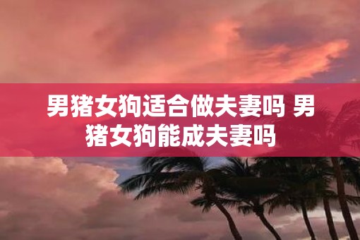 男猪女狗适合做夫妻吗 男猪女狗能成夫妻吗