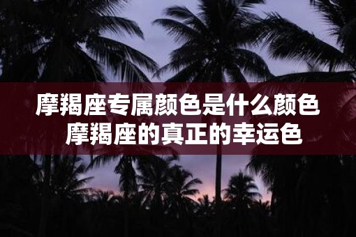 摩羯座专属颜色是什么颜色  摩羯座的真正的幸运色