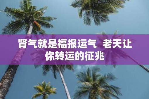 肾气就是福报运气  老天让你转运的征兆