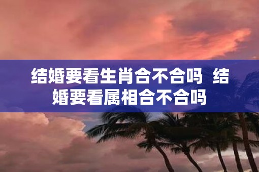 结婚要看生肖合不合吗  结婚要看属相合不合吗