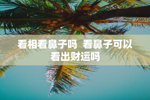 看相看鼻子吗  看鼻子可以看出财运吗