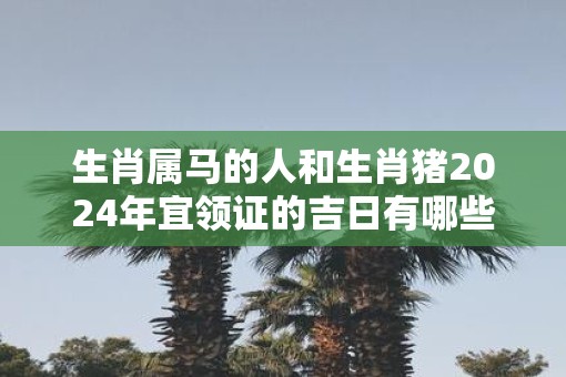 生肖属马的人和生肖猪2025年宜领证的吉日有哪些