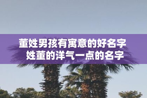 董姓男孩有寓意的好名字  姓董的洋气一点的名字