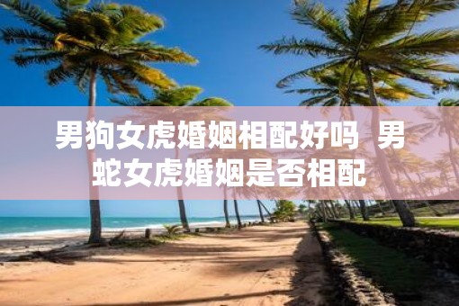 男狗女虎婚姻相配好吗  男蛇女虎婚姻是否相配