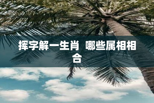 挥字解一生肖  哪些属相相合