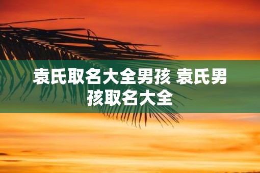 袁氏取名大全男孩 袁氏男孩取名大全