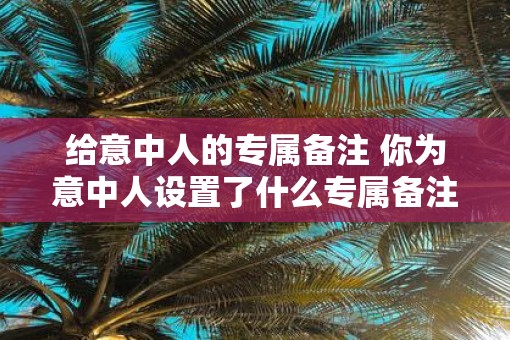 给意中人的专属备注 你为意中人设置了什么专属备注 给意中人的专属备注 你为意中人设置了什么专属备注