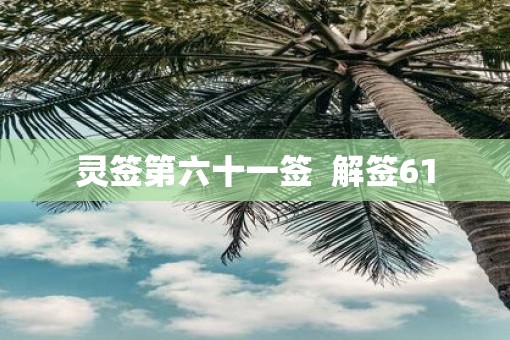 灵签第六十一签  解签61