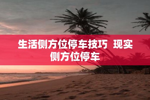 生活侧方位停车技巧  现实侧方位停车