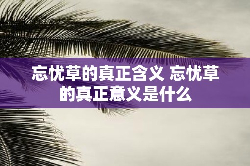忘忧草的真正含义 忘忧草的真正意义是什么