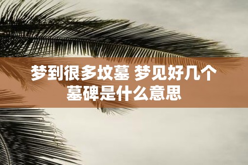 梦到很多坟墓 梦见好几个墓碑是什么意思