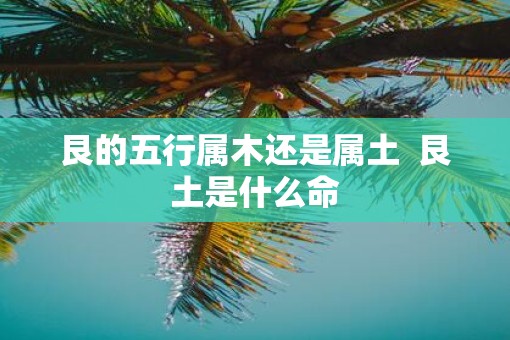 艮的五行属木还是属土  艮土是什么命