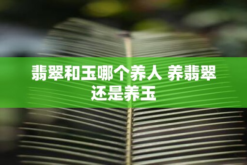 翡翠和玉哪个养人 养翡翠还是养玉