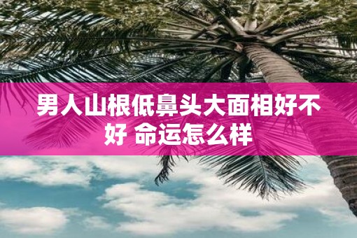 男人山根低鼻头大面相好不好 命运怎么样