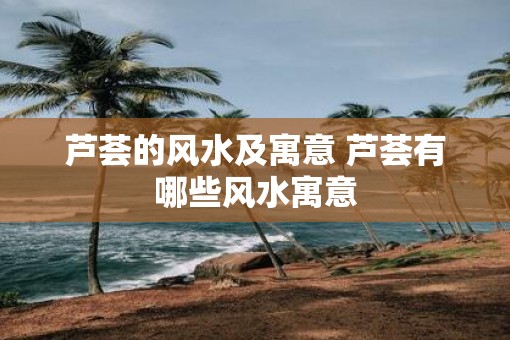 芦荟的风水及寓意 芦荟有哪些风水寓意