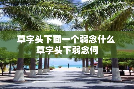 草字头下面一个弱念什么 草字头下弱念何