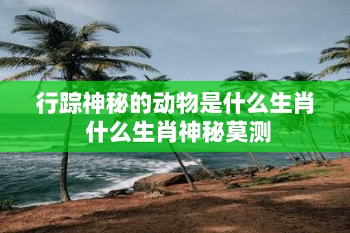 行踪神秘的动物是什么生肖 什么生肖神秘莫测
