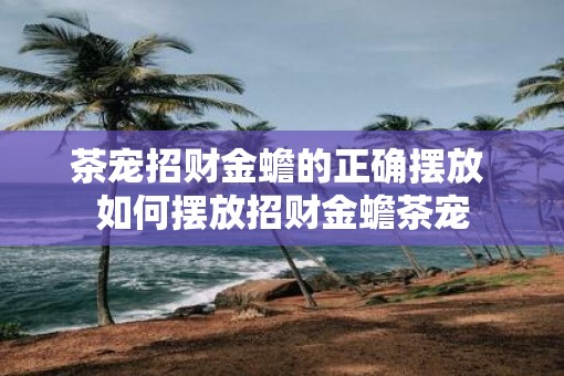 茶宠招财金蟾的正确摆放 如何摆放招财金蟾茶宠