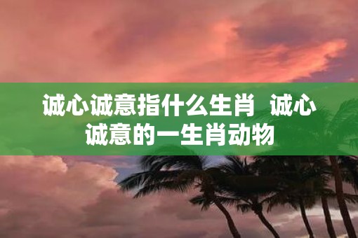 诚心诚意指什么生肖  诚心诚意的一生肖动物