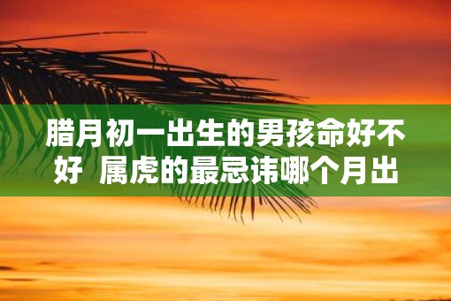 腊月初一出生的男孩命好不好  属虎的最忌讳哪个月出生