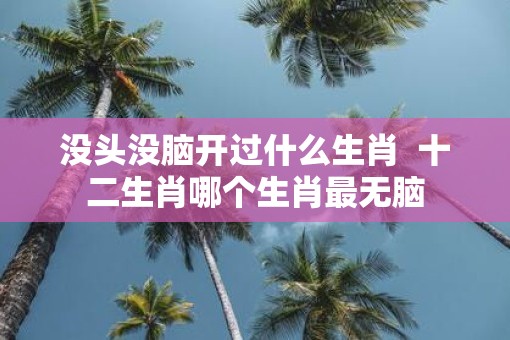 没头没脑开过什么生肖  十二生肖哪个生肖最无脑