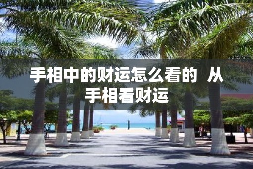 手相中的财运怎么看的  从手相看财运