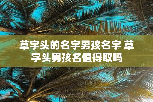 草字头的名字男孩名字 草字头男孩名值得取吗