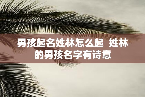 男孩起名姓林怎么起  姓林的男孩名字有诗意