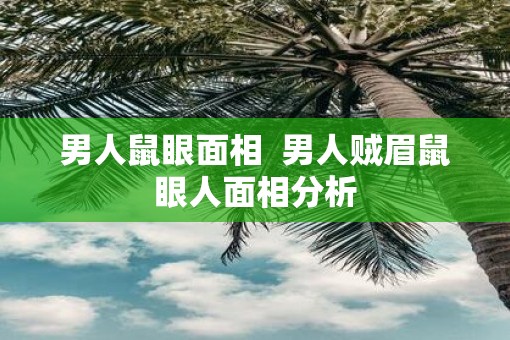 男人鼠眼面相  男人贼眉鼠眼人面相分析