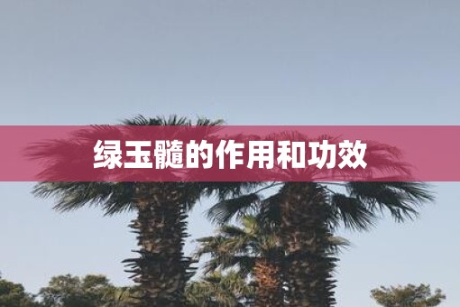 绿玉髓的作用和功效