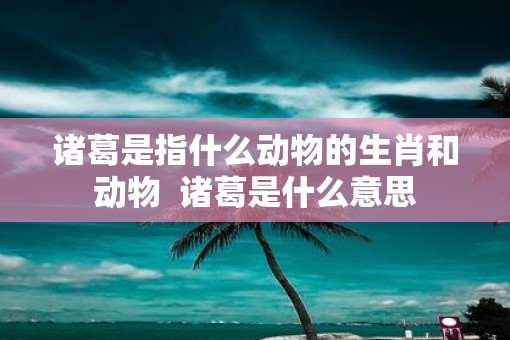 诸葛是指什么动物的生肖和动物  诸葛是什么意思